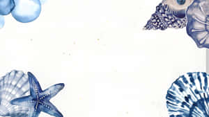 Coastal Seashell Border Wallpaper