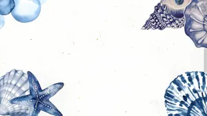 Coastal Seashell Border Wallpaper