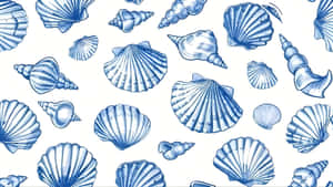 Coastal Seashell Pattern Wallpaper