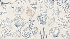 Coastal Seashell Pattern Wallpaper