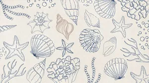 Coastal Seashell Pattern Wallpaper