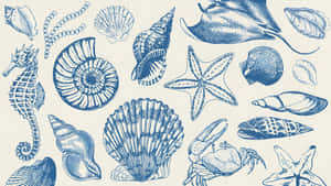 Coastal Seashells And Marine Life Wallpaper