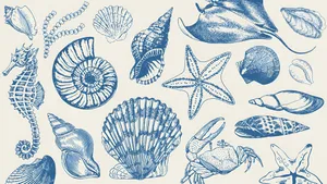 Coastal Seashells And Marine Life Wallpaper