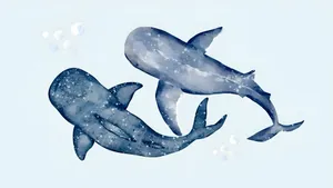 Coastal Whale Illustration Wallpaper