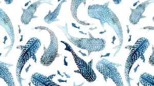 Coastal Whale Shark Pattern Wallpaper