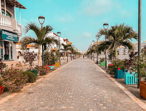 Cobblestone Path In Cape Verde Wallpaper