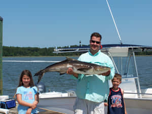 Cobia Fish In Its Natural Underwater Habitat Wallpaper