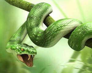 Cobra Green Aeshetic Coiled On Branch Wallpaper