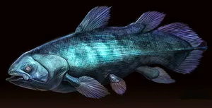 Coelacanth Ancient Fish Illustration Wallpaper
