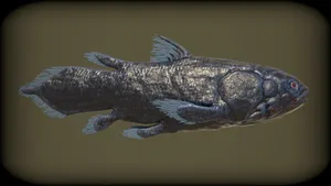 Coelacanth Ancient Fish Species Wallpaper