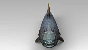 Coelacanth Front View3 D Rendering Wallpaper