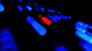 Coherent Lights In The Dark Wallpaper