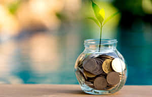 Coins Glass Vase Wallpaper