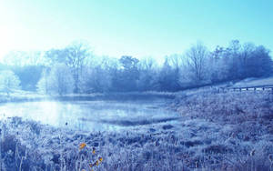 Cold Winter Day Wallpaper