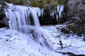 Cold Winter Jungle Waterfall Wallpaper