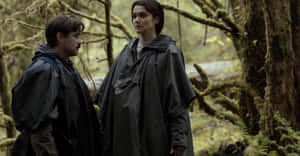 Colin Farrell In The Movie The Lobster Wallpaper