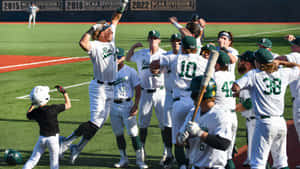 College Baseball Action-packed Game Moment Wallpaper