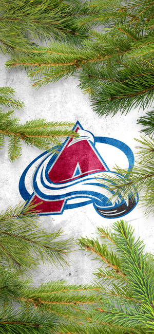 Colorado Avalanche Fir Tree Branches Wallpaper