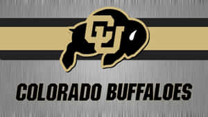 Colorado Buffaloes Logo Banner Wallpaper