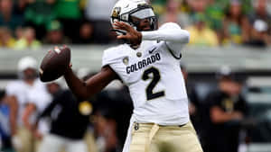 Colorado Buffaloes Quarterback Action Shot Wallpaper