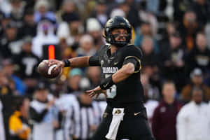 Colorado Buffaloes Quarterbackin Action Wallpaper