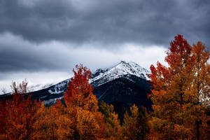 Colorado Fall Aesthetic View Wallpaper