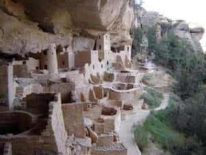 Colorado Mesa Verde National Park Cliff Palace Wallpaper