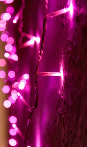 Colorful Abstract Wallpaper Wallpaper