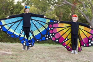 Colorful And Beautiful Butterfly Wing Dress Wallpaper