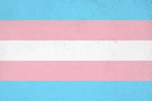 Colorful And Cute Lgbt Transgender Flag Wallpaper Wallpaper