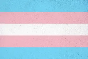 Colorful And Cute Lgbt Transgender Flag Wallpaper Wallpaper