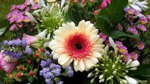 Colorful And Uplifting Flower Arrangement Wallpaper