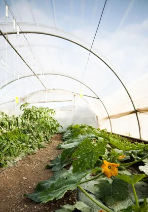 Colorful Autumn Park Wallpaper