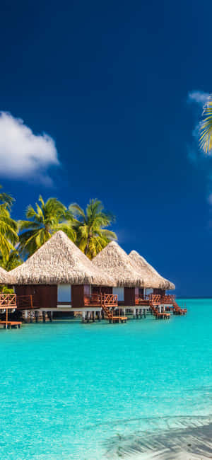 Colorful Beach Huts Line The Sandy Shore Wallpaper