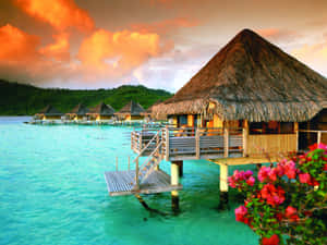 Colorful Beach Huts On A Sunny Day Wallpaper