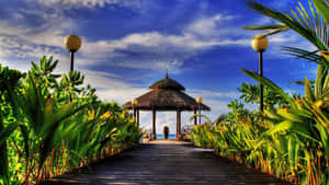 Colorful Beach Huts On A Sunny Day Wallpaper