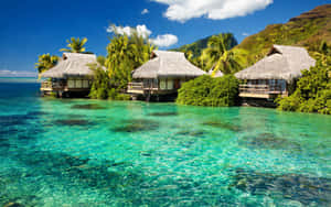 Colorful Beach Huts On A Sunny Shore Wallpaper