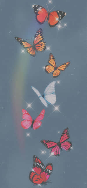 Colorful_ Butterflies_ Glittering_ Stars_ Background Wallpaper