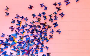 Colorful Butterflies Wall Art Wallpaper