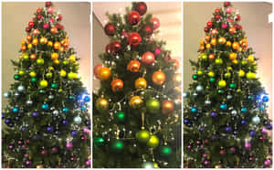 Colorful Christmas Tree Triptych Wallpaper