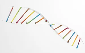 Colorful D N A Model Artistic Representation Wallpaper