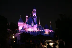 Colorful Disneyland Castle On Evening Wallpaper