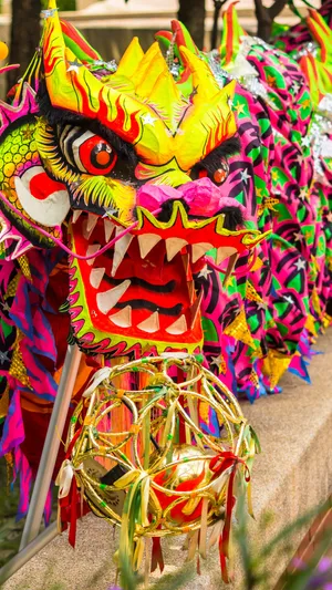 Colorful Dragon Dance Costume Wallpaper