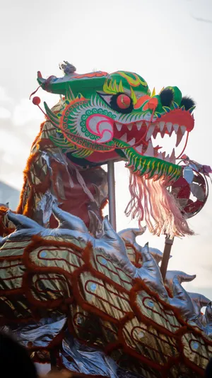 Colorful Dragon Dance Head Wallpaper