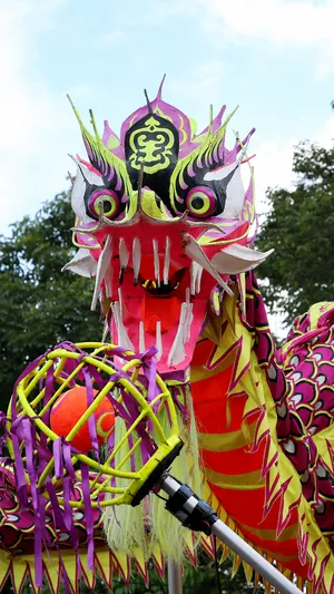 Colorful Dragon Dance Performance Wallpaper