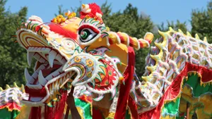 Colorful Dragon Dance Performance Wallpaper