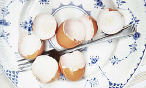 Colorful Eggshell Pattern Wallpaper