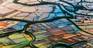 Colorful Farms In Sulawesi Wallpaper