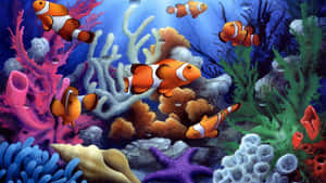 Colorful Fish Swim In The Blue Ocean Wallpaper