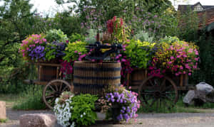 Colorful Flower Cart In A Blossoming Garden Wallpaper